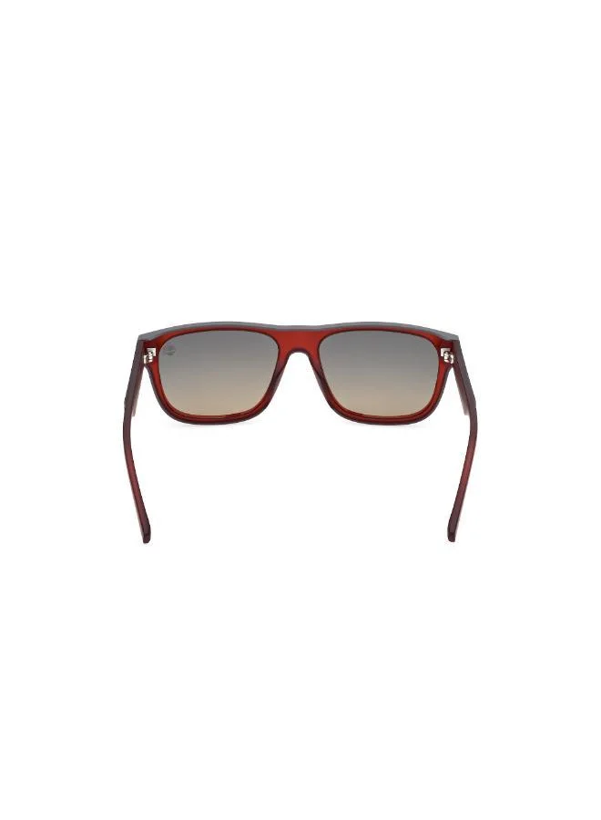 Timberland Wayfarers Sunglasses