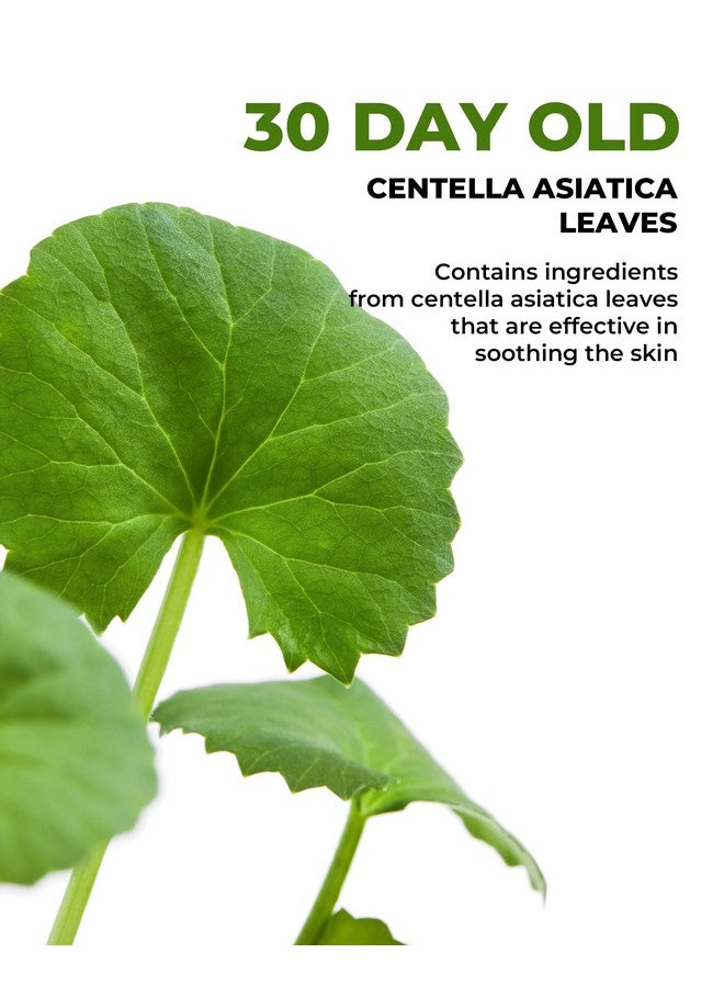 ديرمافيرم كريم Cica Ac Tone Up Cream 1.69 أونصة كريم وجه Centella Asiatica للبشرة الجافة والحساسة، منتج تجميل كوري للعناية بالبشرة، مرطب للوجه K Beauty كريم العناية بالبشرة للنساء والرجال - Image 3