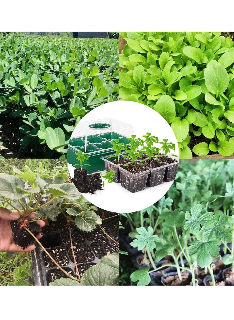 Gerenic 10 Pack Seed Starter Tray Seedling Starter Kits, Plant Starter Kit with Humidity Domes and Base Indoor Greenhouse Mini Propagator Station for Seeds Growing Starting (12 Cells per Tray) - Image 5