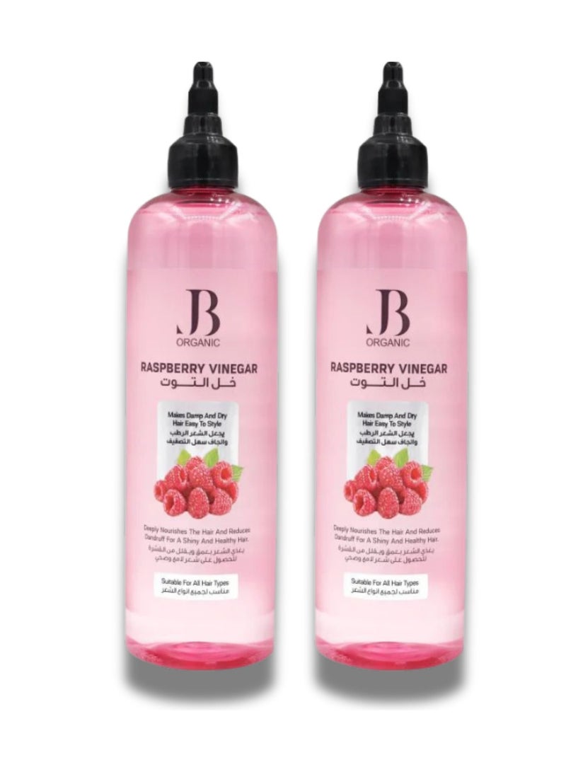 JB ORGANIC Berry Vinegar Hair Strengthening Tonic, 2*400 ml (2PCS) - Image 1