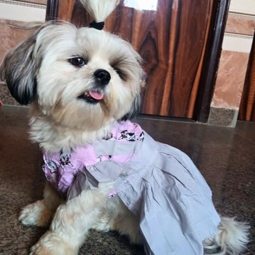 Lulala Pet Dress Summer Pet Dress Soft Pet Princess Dress Pet Hawaiian Pet Frock Suit Summer Pet Clothes Pet Shirt Skirt Striped Printed T Shirts for Pets(18 Inch,Pink) - Image 1