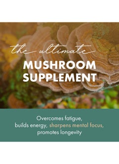 PURE ESSENCE LABS Mypure Lions Mane 4X Mushroom Supplement 100% Real Mushroom Extract For Immune Support Combat Stress And Build Energy Immune Booster For Men And Women 30 Capsules  - Image 4