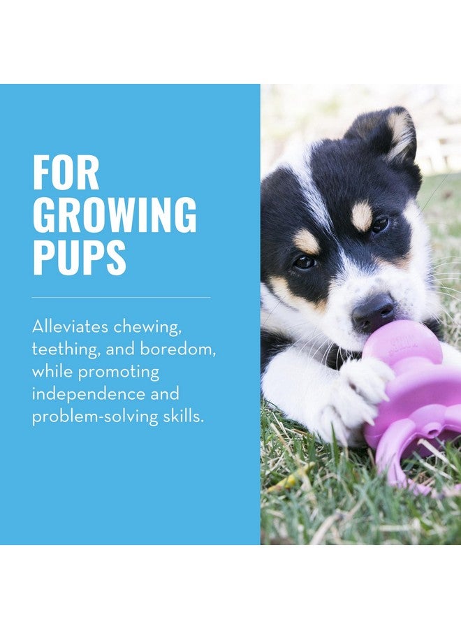 KONG Puppy Binkie - Pacifier Dog Toy for Puppies - Stuffable Treat Chew Toy for Treats - Durable Natural Rubber for Teething Puppy - for Small Puppies - Pink - Image 2