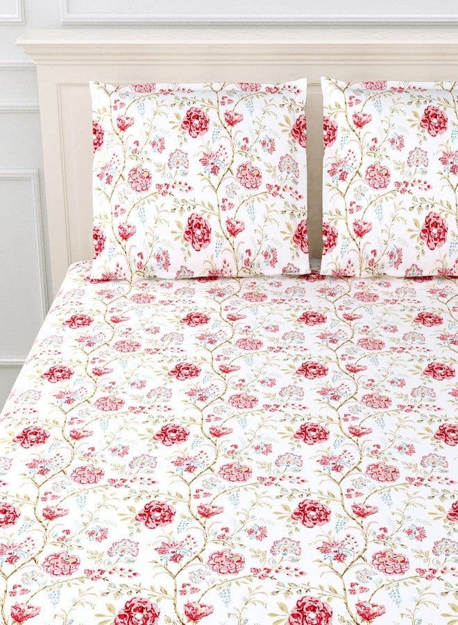 haus & kinder Elastic Fitted Bedsheet for Queen Size Bed | 186 TC Bed Sheet Double Bed Elastic Fitted Cotton with 2 Pillow Covers (50x78x10 Inches) - Modern Heritage - Image 2