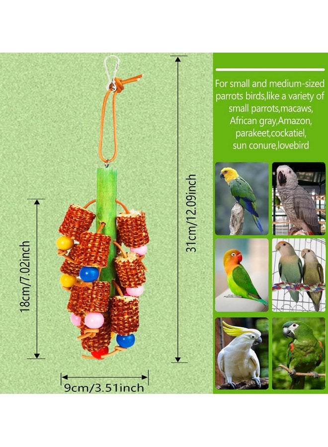Hyamass Bird Toys, Parrot Toys Natural Corn Cob Bird Chew Toys for Small and Medium-Sized Parakeet,Cockatiel,Conures,Lovebirds Macaws,African Grey,Cockatoos,Amazon Parrots,Aviary Hanging Toys - Image 1