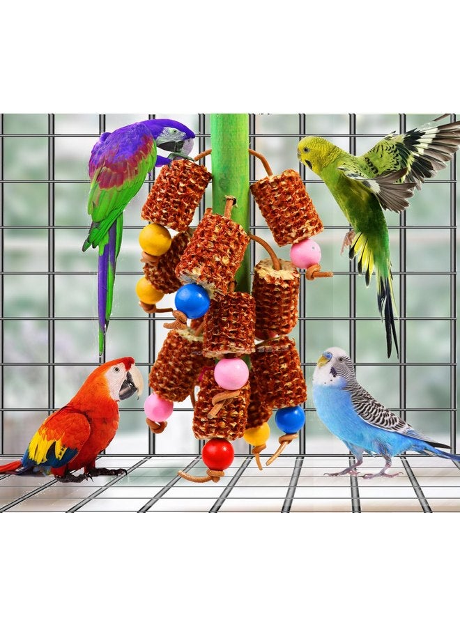 Hyamass Bird Toys, Parrot Toys Natural Corn Cob Bird Chew Toys for Small and Medium-Sized Parakeet,Cockatiel,Conures,Lovebirds Macaws,African Grey,Cockatoos,Amazon Parrots,Aviary Hanging Toys - Image 3