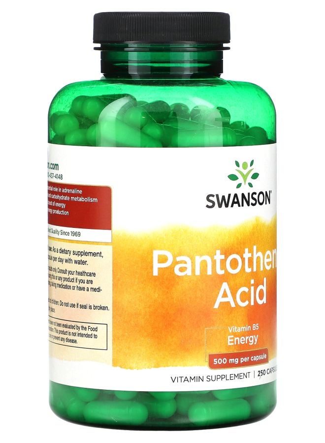 SWANSON Pantothenic Acid 500 mg 250 Capsules - Image 2