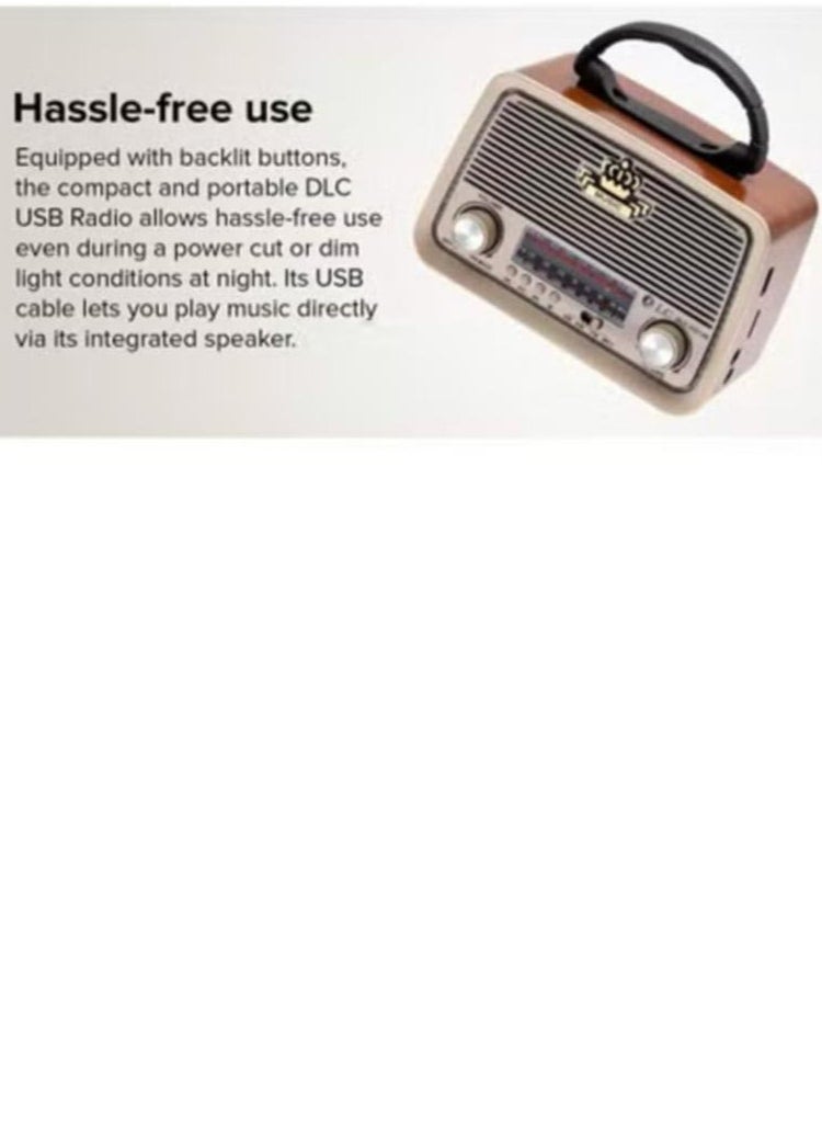 Denx Usb Hi-Fi Dinex Radio 3 Channels Fm - Am - Sw Gold/Brown/Black Bluetooth Aux Tf Card Usb Flash Disk  - Image 4