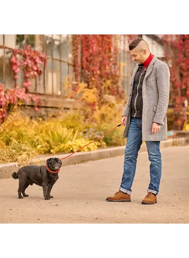 قطعتان مجموعة رصاص كلب نايلون ثقيل أزرق للكلاب الصغيرة والمتوسطة مقاس L - Image 4