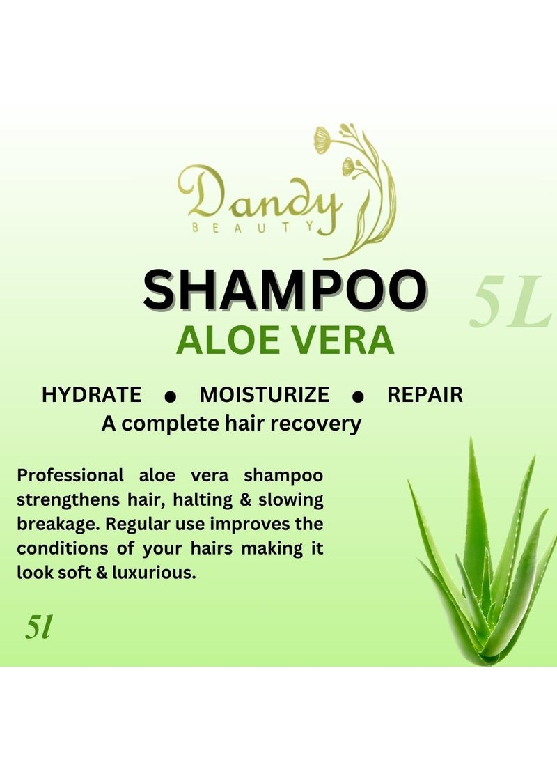 Dandy Beauty Hair Shampoo, Complete Hair Recovery, 5L (Aloe vera) - Image 2