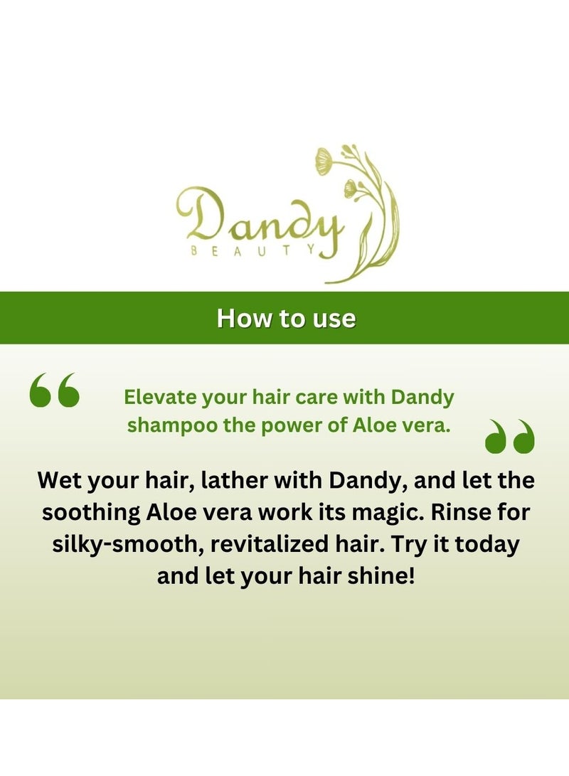 Dandy Beauty Hair Shampoo, Complete Hair Recovery, 5L (Aloe vera) - Image 3