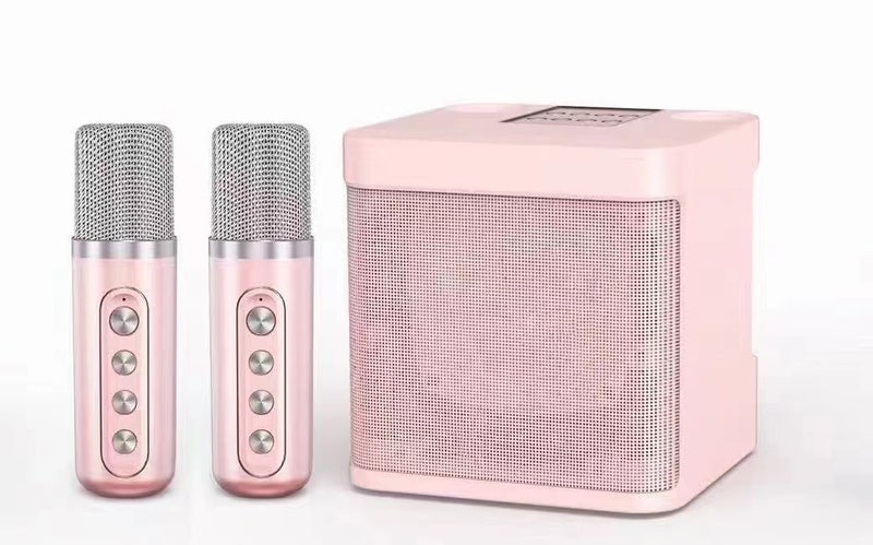Ys-203 All-In-One Outdoor Family Party Set Karaoke Double Microphone Artifact Wireless Microphone Microphone Bluetooth Stereo - Image 1