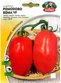 ZORZI Tomato Seeds  - Image 1