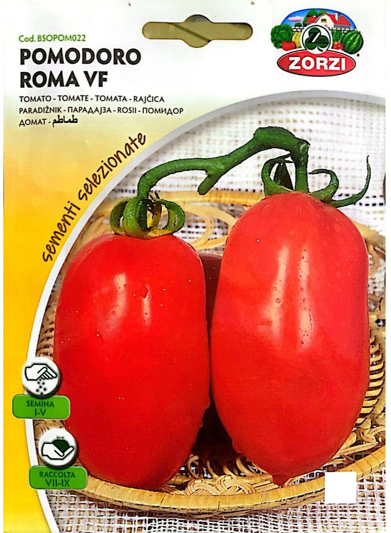 ZORZI Tomato Seeds - Image 1