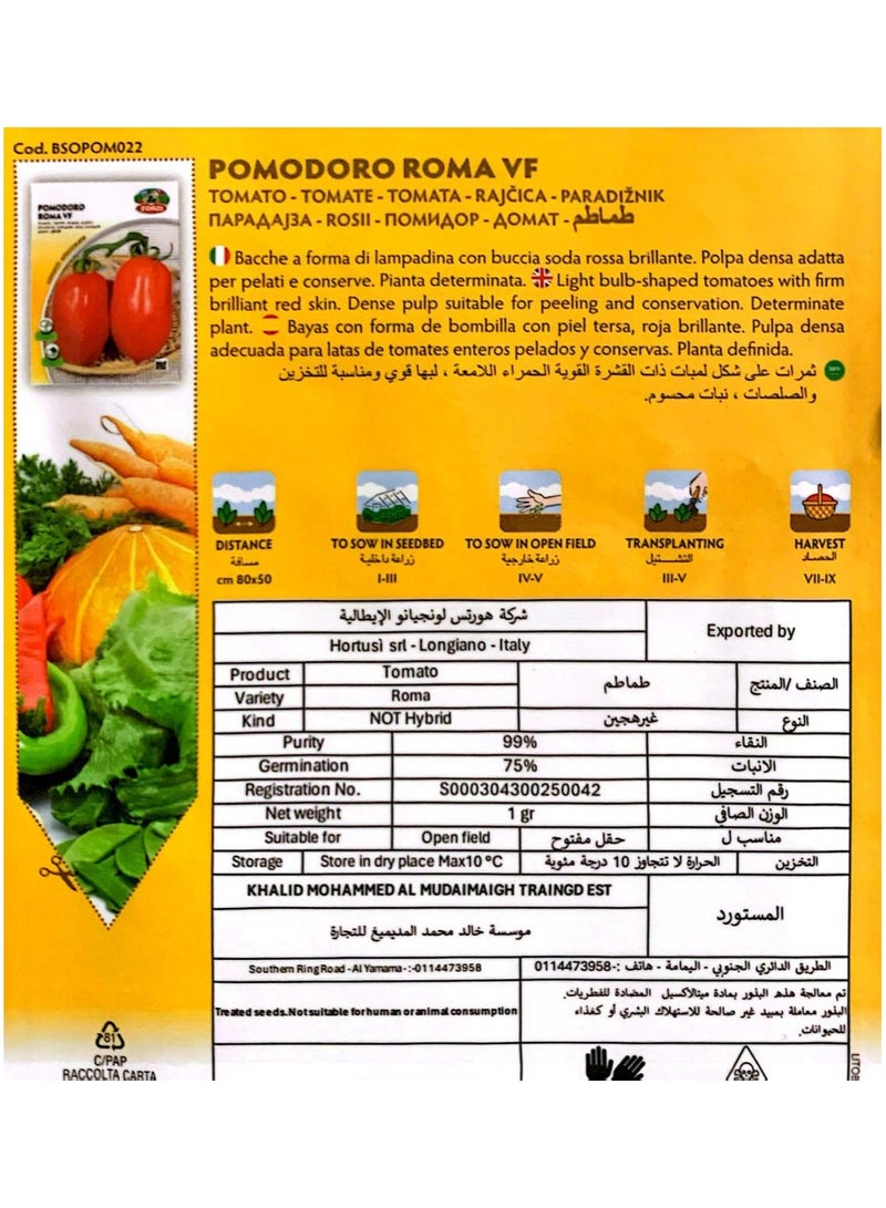 ZORZI Tomato Seeds - Image 2