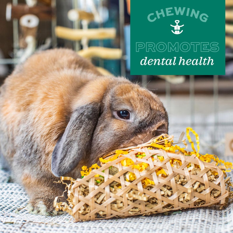 Oxbow Timothy Hay Carrot, Rabbit & Guinea Pig Toy, Edible & Hand-Woven Bunny Toy, No Wires or String, Small Pet Accessories, for Rabbits, Guinea Pigs, Chinchillas & Rats, Medium - Image 4