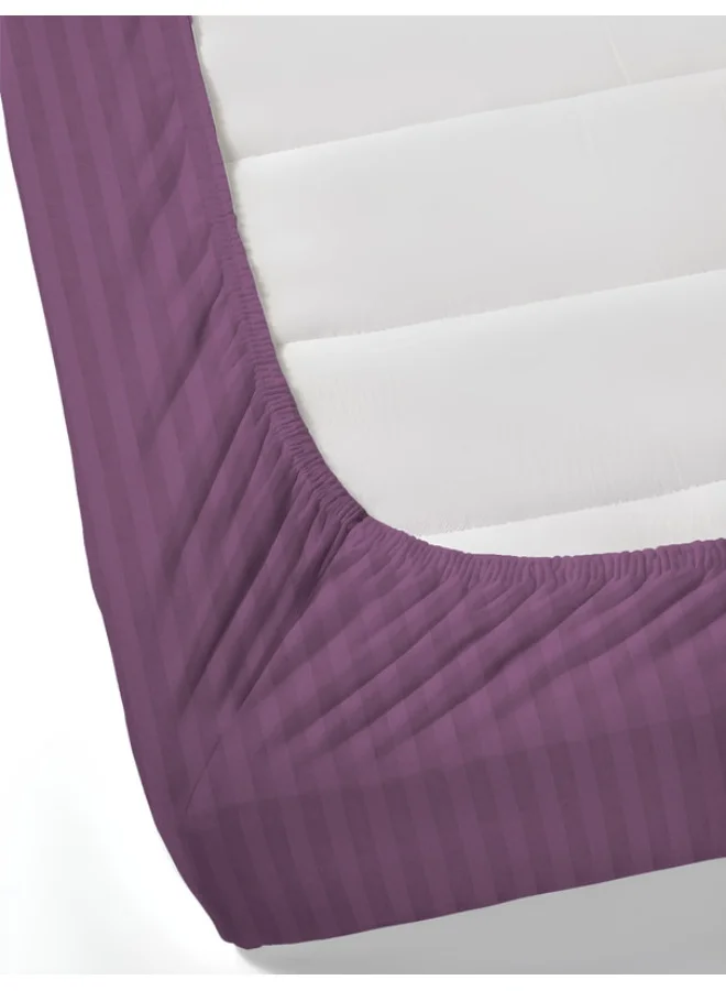 MULBERRY LIVING 100% Cotton - 300Tc Elysian Stripes King Size (180X200 Cms) Fitted Bedsheet With 2 Pillow Covers (50X75 Cm) - Plum