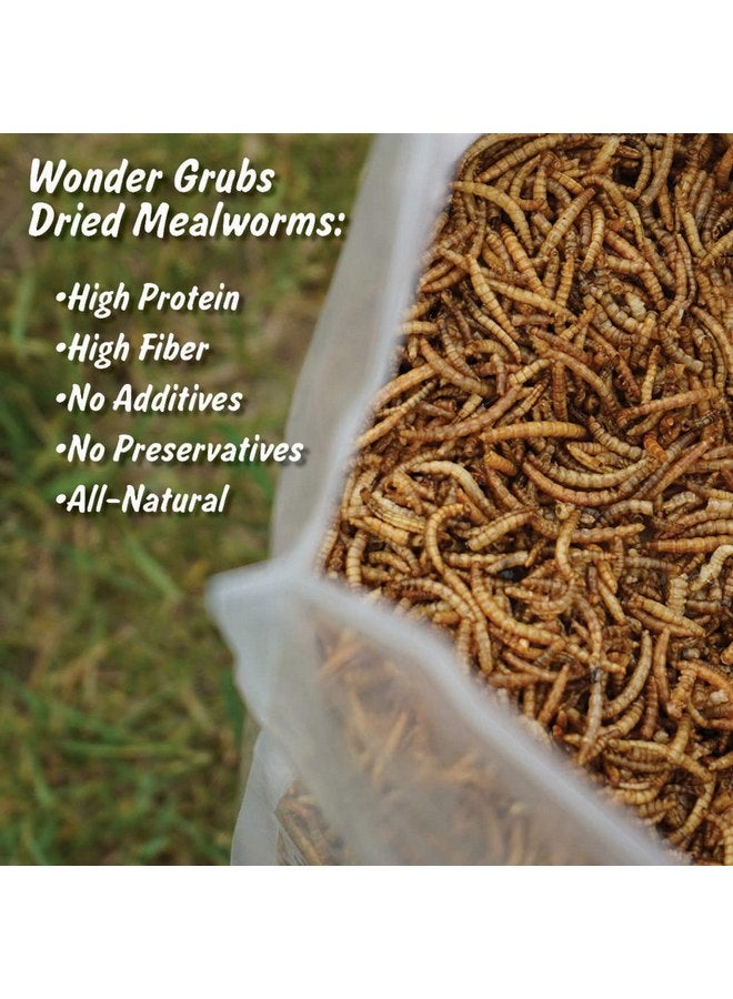 Mann Lake Mealworms Wonder Grubs 5 lb Non-GMO Dried High-Protein Chicken, Wild Bird, Duck, Fish, Reptiles, Tortoise, Amphibians, Lizard, Single - Image 2