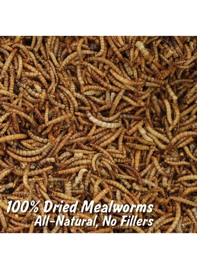 Mann Lake Mealworms Wonder Grubs 5 lb Non-GMO Dried High-Protein Chicken, Wild Bird, Duck, Fish, Reptiles, Tortoise, Amphibians, Lizard, Single - Image 3