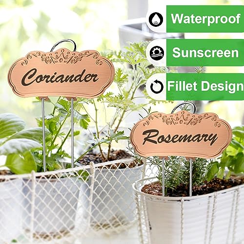 TCYPUHL Metal Plant Labels,Tall Outdoor Garden Markers for Flower, Fruit and Vegetable, 304 Stainless Steel Weatherproof Signs (25 Packs, 4" x 1.9", Gold) - Image 4