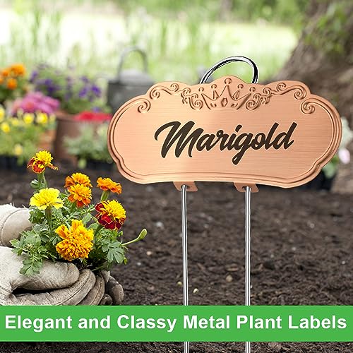 TCYPUHL Metal Plant Labels,Tall Outdoor Garden Markers for Flower, Fruit and Vegetable, 304 Stainless Steel Weatherproof Signs (25 Packs, 4" x 1.9", Gold) - Image 3