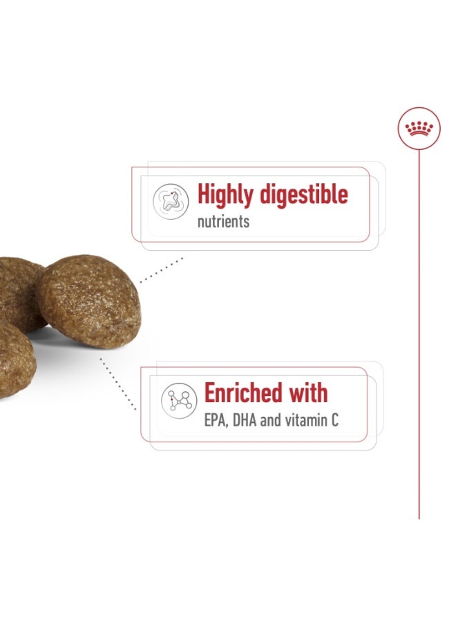 رويال كانين حجم التغذية الصحية XS للبالغين 1.5 كجم - Image 3