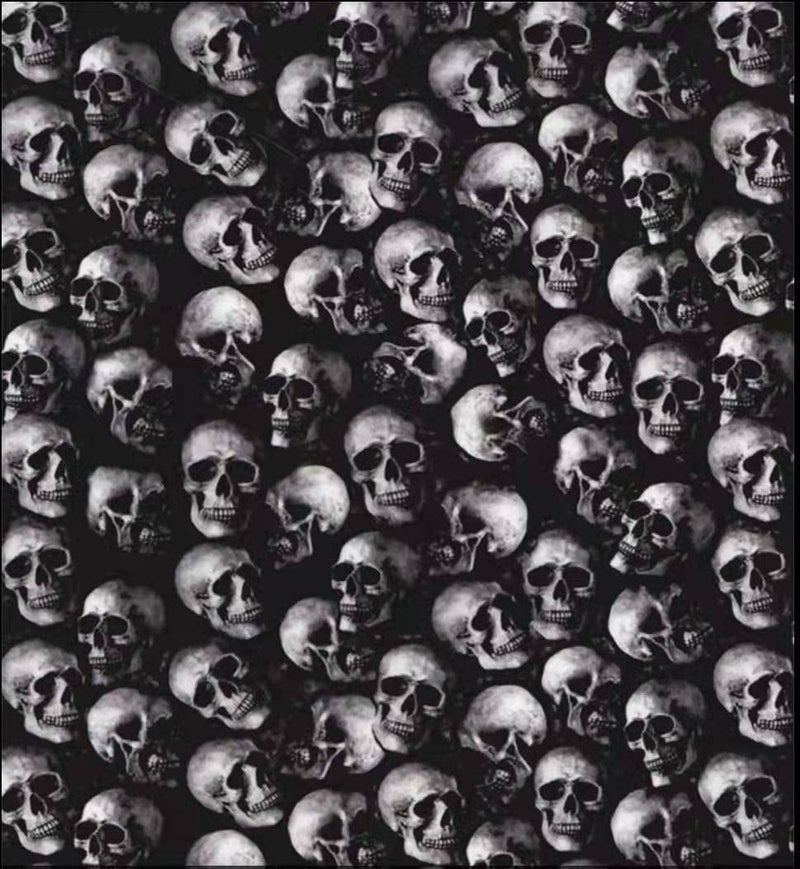 STColor ST Color SK0024Water Transfer Printing FilmHydrographics FilmHydro Dipping FilmSmall Skull50cmx400cm - Image 2