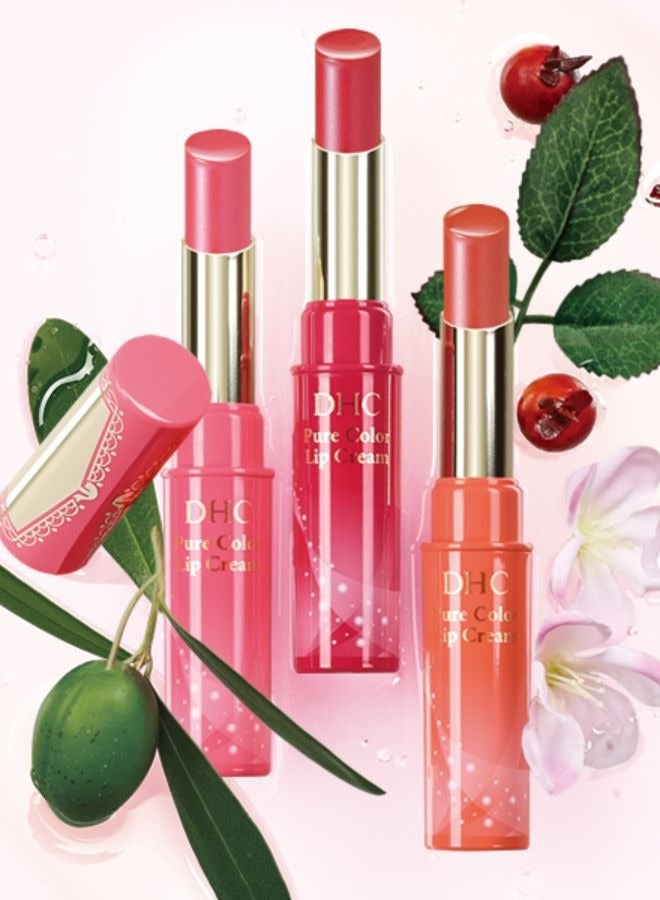 DHC Pure Color Lip Cream RS102 - Image 3