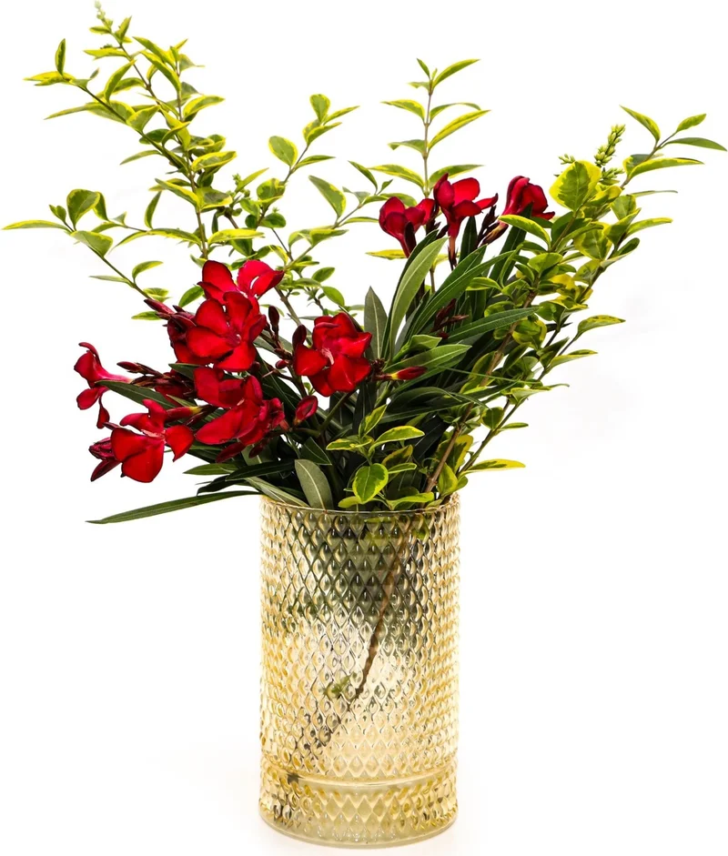 ميسي Amber Diamond Glass Vase/Candle Holder (17 Cm)