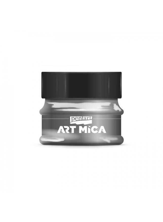بينتارت آرت ميكا مسحوق الصباغ 9 جرام أنثراسايت