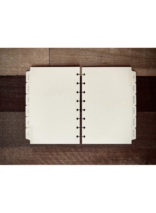 Eleven Discs Junior Monthly Tabs Januarydecember Offwhite Cardstock Mylar Coated And Reinforced Punched For Circa Arc Tul (Set Of 12 Tabs) - Image 3