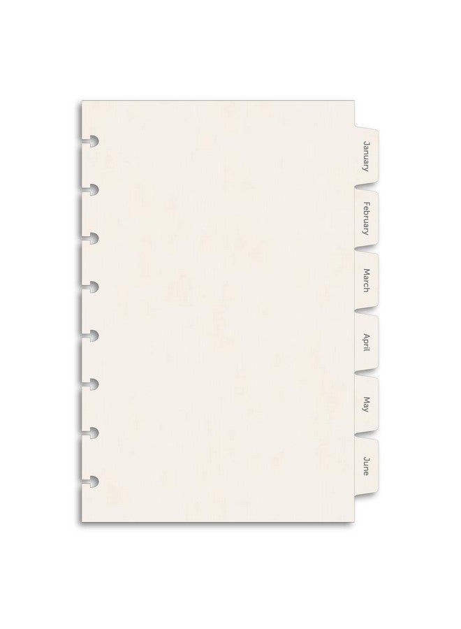Eleven Discs Junior Monthly Tabs Januarydecember Offwhite Cardstock Mylar Coated And Reinforced Punched For Circa Arc Tul (Set Of 12 Tabs) - Image 1