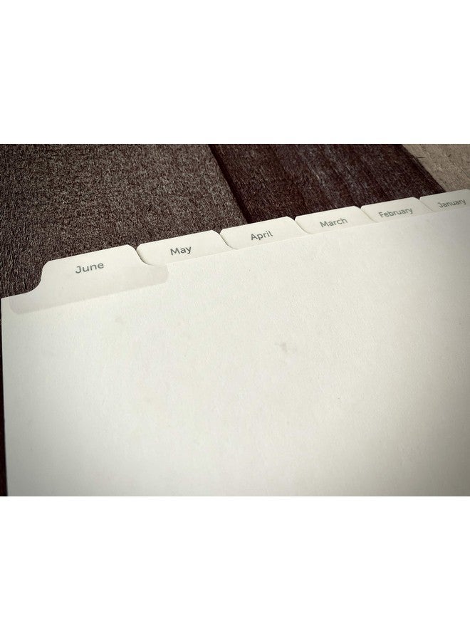 Eleven Discs Junior Monthly Tabs Januarydecember Offwhite Cardstock Mylar Coated And Reinforced Punched For Circa Arc Tul (Set Of 12 Tabs) - Image 4