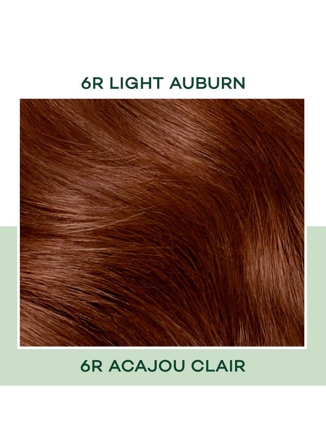 CLAIROL Natural Instincts Demipermanent Hair Dye 6R Light Auburn Hair Color Pack Of 1 - Image 4