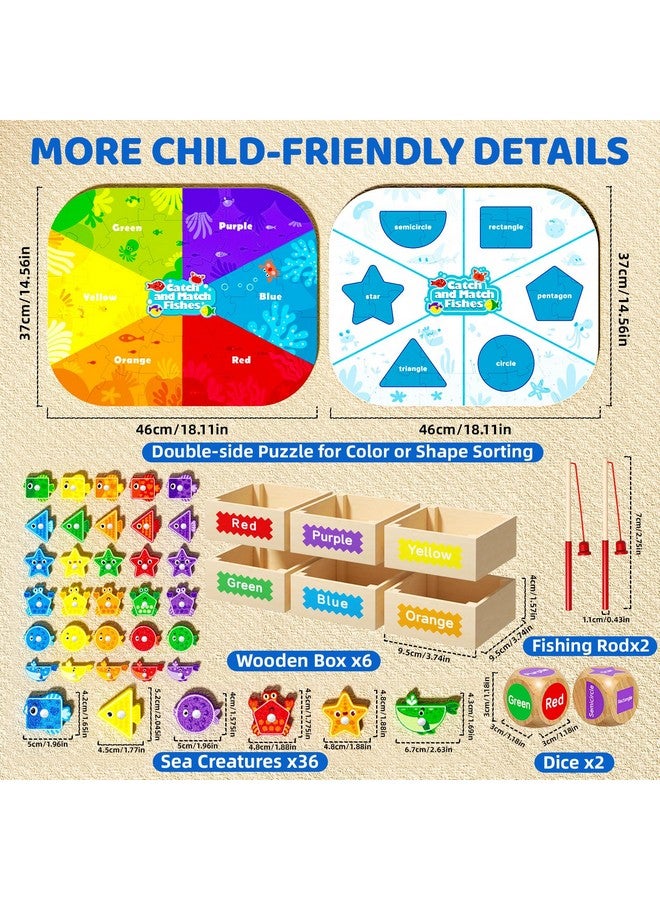 edutree Montessori Toys for Toddlers 1-3, Magnetic Fishing Game for Kids 2-4, Color & Shape Sorter Educational Learning Toys with Wooden Box & Puzzle for Boys Girls 3-5 - Image 4