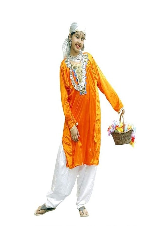 DESI ANDAAZ Kashmiri Girl Dress For Kids Set of 3(Suit,Salwar & Scarf) Indian State & Folk dance Fancy Dress Costume for Kids & Adults - Image 1
