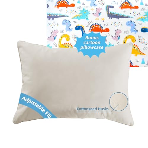 LOFE Organic Plilow with Cartoon Pillowcase  16x22 Kids Pillow with 100 Organic Cotton Shell Adjustable Organic Youth Pillow Machine Washable Softfor KidsYouthChildren Dinosaur