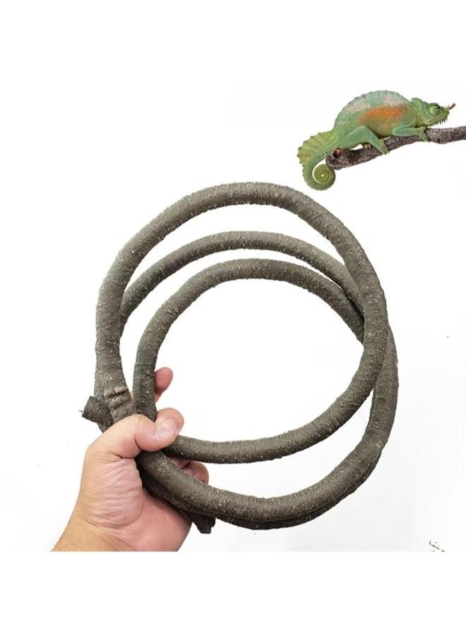 NomoyPet شجرة كرمة لضفادع الأشجار والسحالي والوزغة المتسلقة والجثمة لتزيين المناظر الطبيعية - Image 2