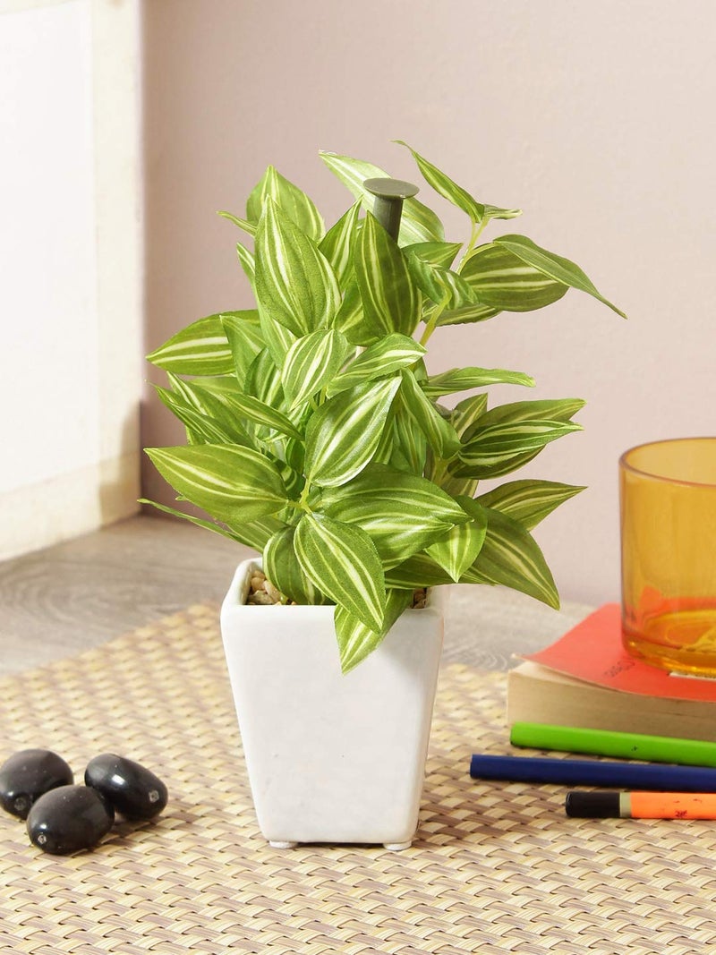 Fourwalls Artificial Hypoestes Artificial Plants in a Ceramic Pot for Home Office Decor (19 cm, 72 Leaves, Multicolor) - Image 1