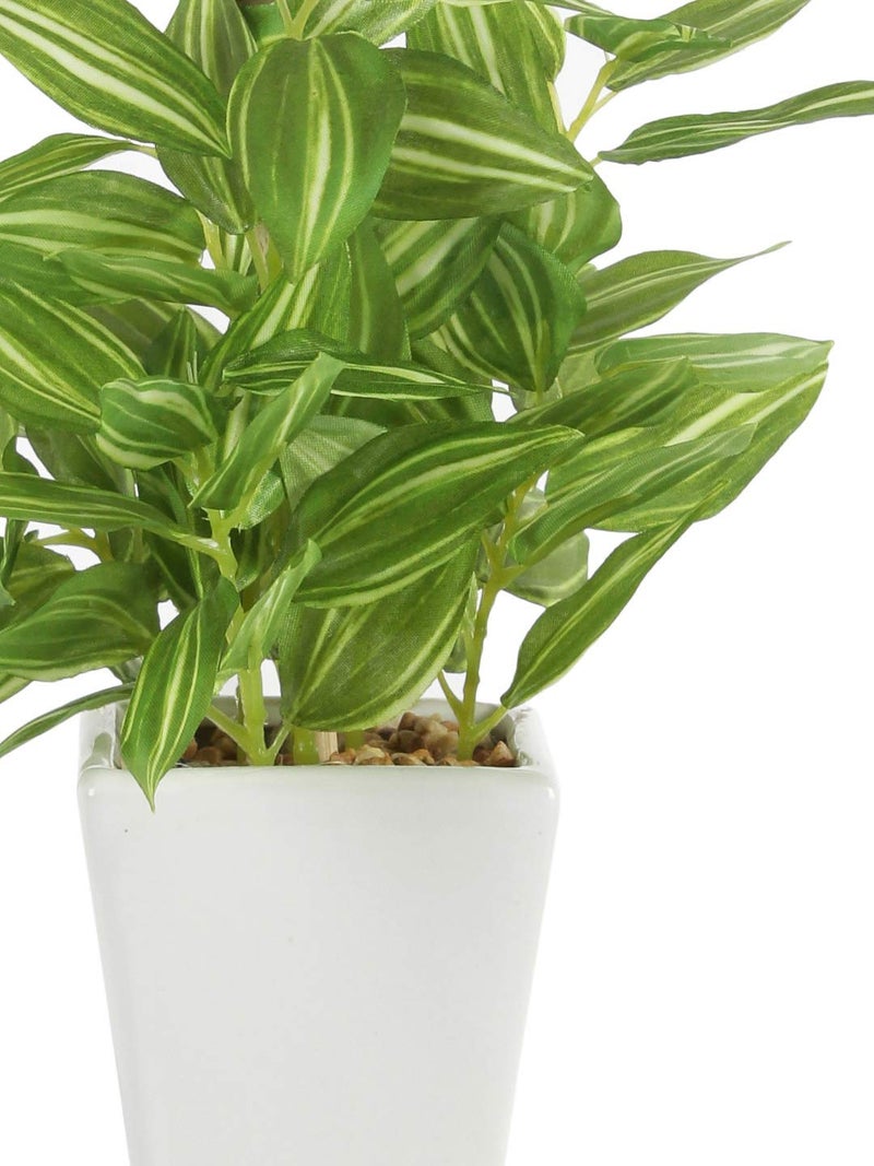 Fourwalls Artificial Hypoestes Artificial Plants in a Ceramic Pot for Home Office Decor (19 cm, 72 Leaves, Multicolor) - Image 4