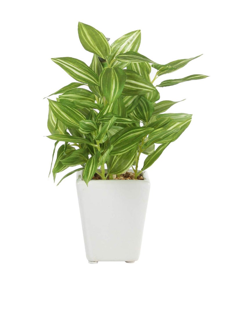 Fourwalls Artificial Hypoestes Artificial Plants in a Ceramic Pot for Home Office Decor (19 cm, 72 Leaves, Multicolor) - Image 3