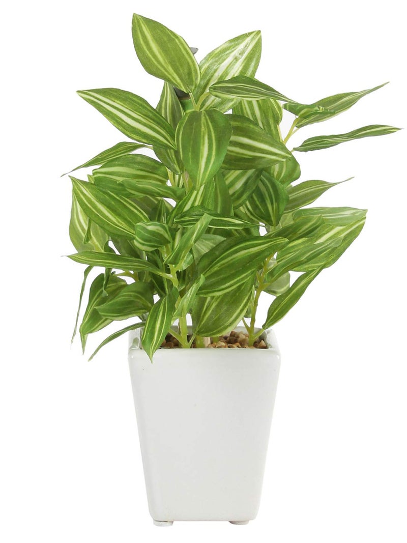Fourwalls Artificial Hypoestes Artificial Plants in a Ceramic Pot for Home Office Decor (19 cm, 72 Leaves, Multicolor) - Image 2