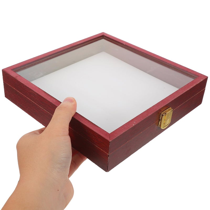 عينة فراشة حشرية عرض حالة 20x20x4.5 سم صندوق الظل الأكريليك مع وسادة - Image 5