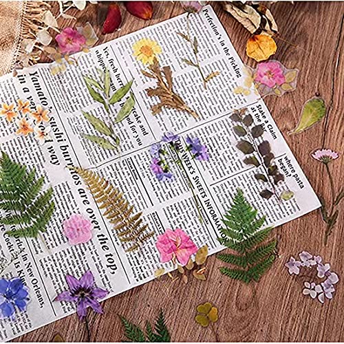 MAXLEAF 160PCS Vintage Plants Flowers Leaves Stickers for Decoration Planners Scrapbook Laptops Dairy Decoration (Wild Flower) - Image 3
