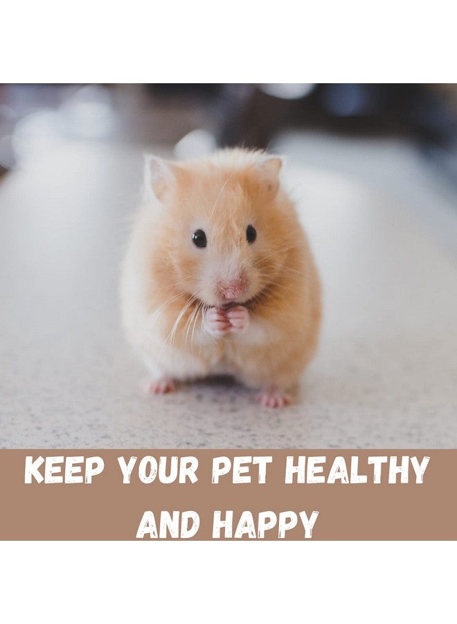 SAVIC Martha Triple Hamster & Guniea Pigs Cage, Cage Contains A House, Two Platforms, Ladder, Bowl, Exercise Wheel, And Bottle, Fun And Activity Cage For Small Pets, 19 X 12 X 14 Inch - Image 5