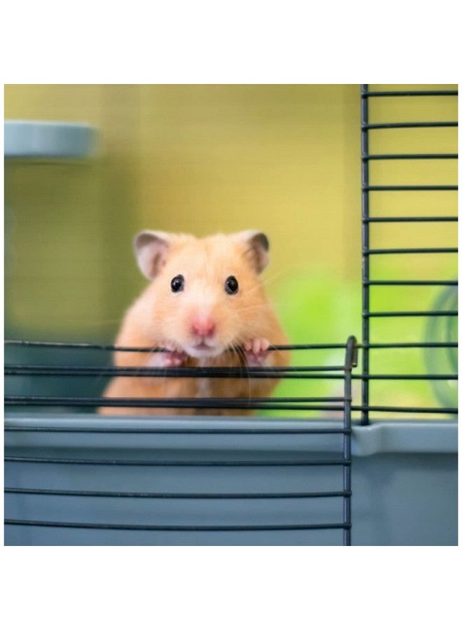 SAVIC Martha Triple Hamster & Guniea Pigs Cage, Cage Contains A House, Two Platforms, Ladder, Bowl, Exercise Wheel, And Bottle, Fun And Activity Cage For Small Pets, 19 X 12 X 14 Inch - Image 4