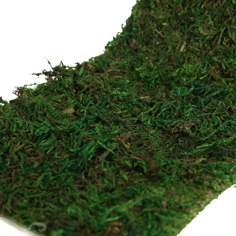 USMOLA Moss Roll, Dried Moss for Crafts, Moss Table Runner for Fairy Gardens, Wedding Woodland Decor, Preserved Moss Mat for Table Decoration (4" W x 48" L) - Image 3