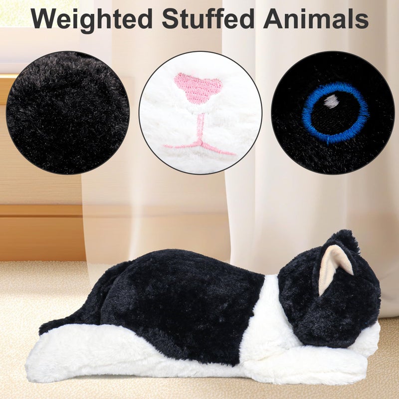 Wepop 5lbs Weighted Stuffed Animals 24in Big Cat Plush Weighted Stuffed Animal Cuddle Plushie Pillows Gifts for Kids Adults Boys and Girls - Image 3