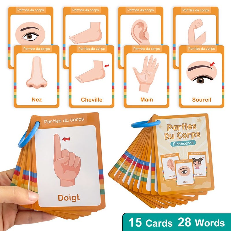 28 بطاقات تعليمية ثنائية اللغة (فرنسي-إنجليزي) لأجزاء الجسم للأطفال، مخصصة لمرحلة ما قبل المدرسة ورياض الأطفال، للتعلم البصري والتدريس. - Image 2