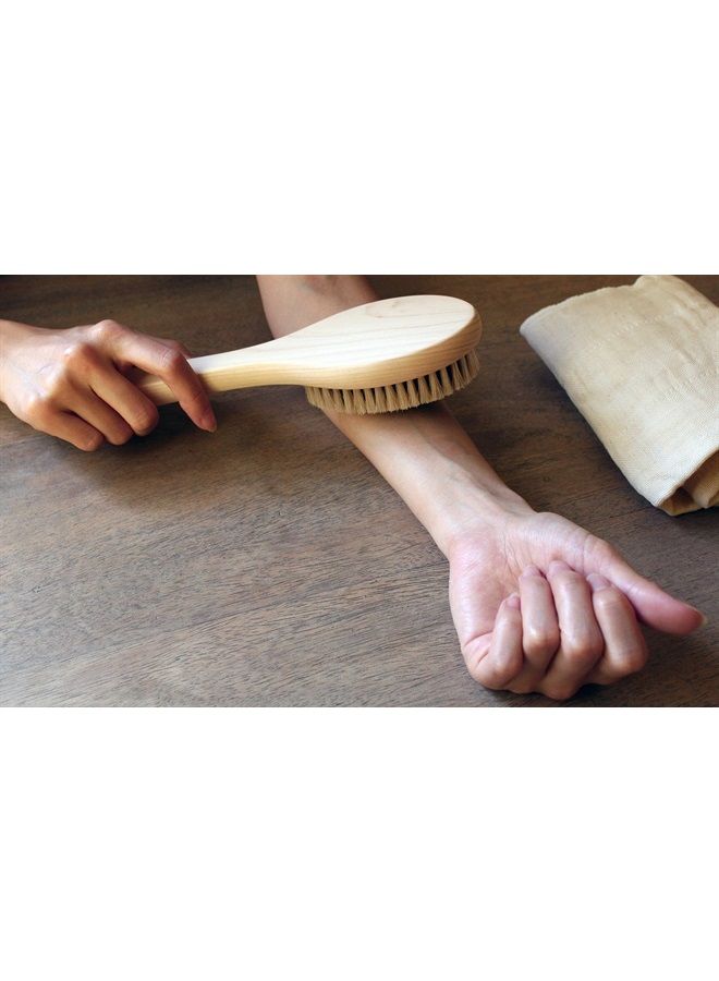 IPPINKA Japanese Body Brush for Dry Brushing, Exfoliation, Cellulite Treatment, Medium Handle - Image 3